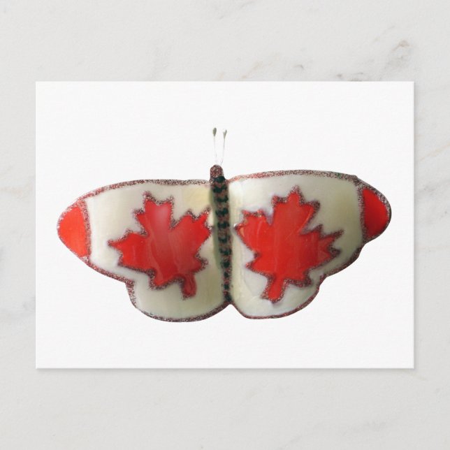 "Maple Leaf Monarch" Canadian Flag Butterfly  Postcard (Front)