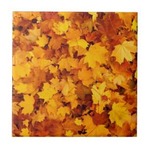 Maple Leaf Pattern-25877 Ceramic Tile