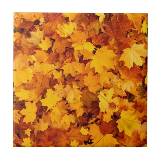 Maple Leaf Pattern-25877 Ceramic Tile (Front)