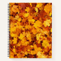 Maple Leaf Pattern-25877