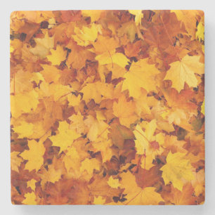 Maple Leaf Pattern-25877 Stone Coaster