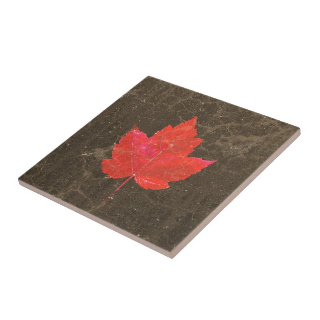Maple Leaf Red Brown Autumn Country Texture Ceramic Tile (Side)