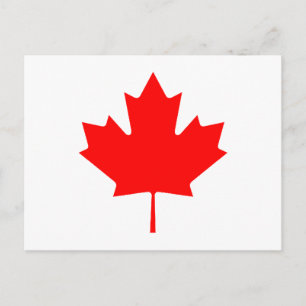 Maple Leaf RedTransp The MUSEUM Zazzle Gifts Postcard