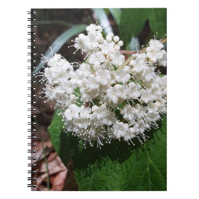 Maple Leaf Viburnum Notebook (Front)