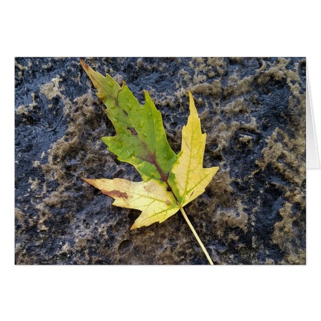Maple Leaf , white envelopes included (Front Horizontal)