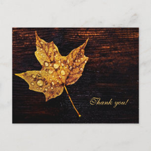 Maple leaf with rain drops on wood texture postcard