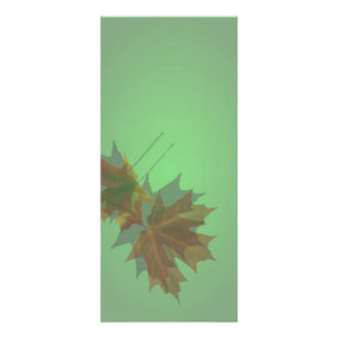 Maple Leave Rack Card