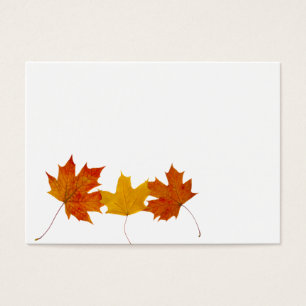 Maple leaves