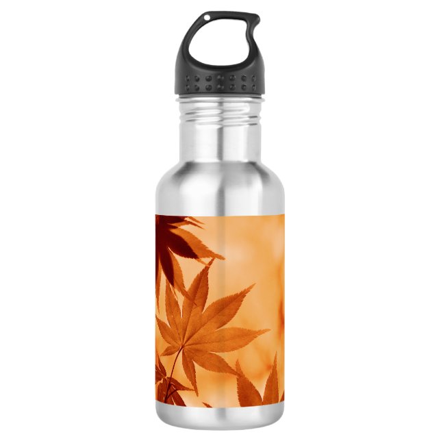 Maple Leaves Background-10792 532 Ml Water Bottle (Front)
