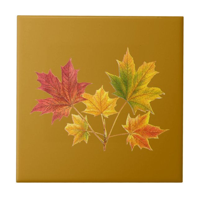 Maple Leaves Ceramic Tile (Front)