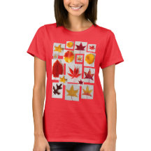 Maple Leaves Fall Foliage Autumn Colours