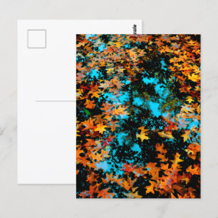 Maple Leaves Floating on Water Postcard