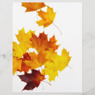 Maple leaves flyer