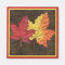 Maple Leaves in Fall
