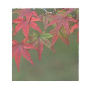 Maple Leaves, Katsura, Kyoto, Japan Notepad
