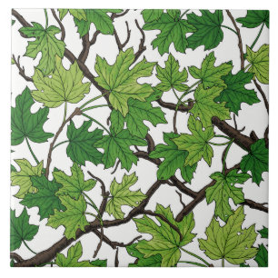 Maple leaves on white ceramic tile