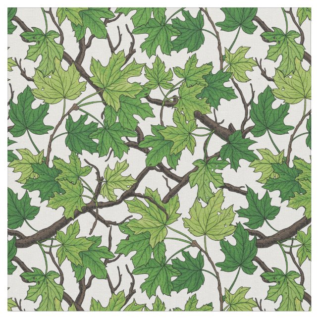 Maple leaves on white fabric (Close Up)