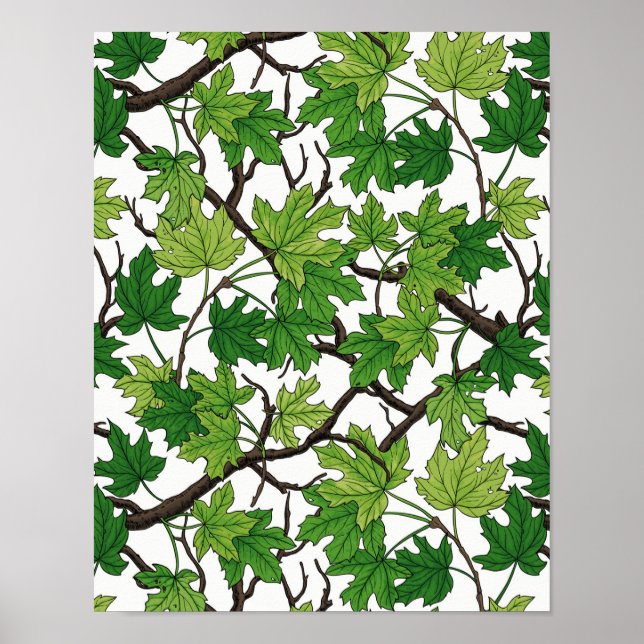 Maple leaves on white poster (Front)