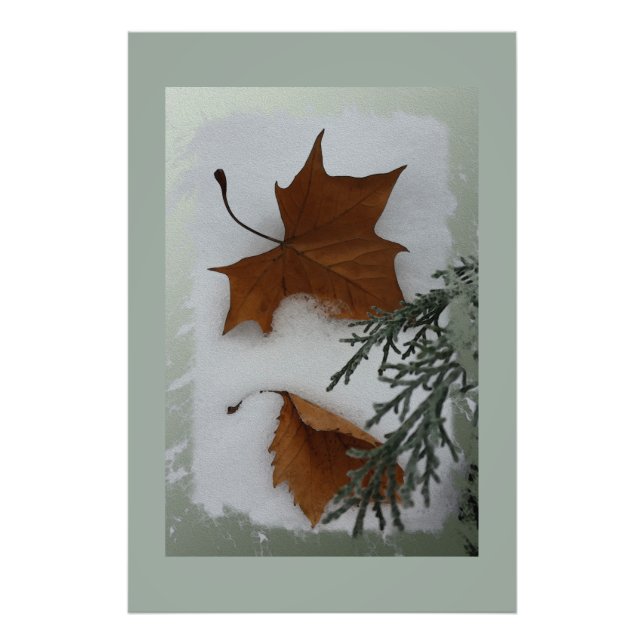 Maple leaves photo print (Front)