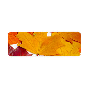 Maple leaves return address label