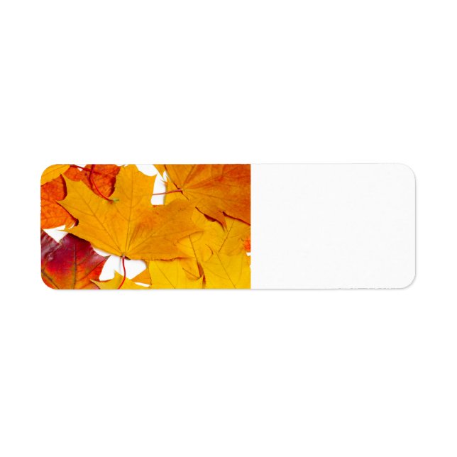 Maple leaves return address label (Front)