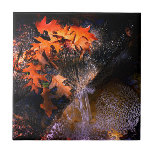 Maple Leaves Tile