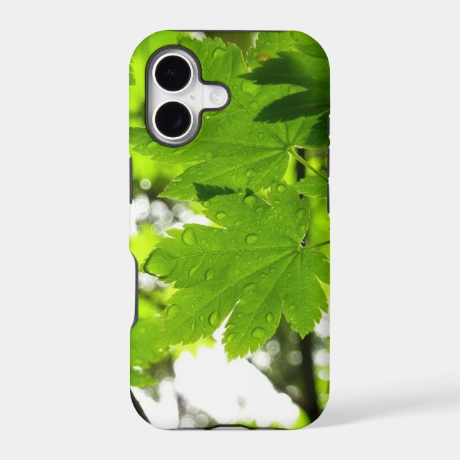 Maple Leaves with Raindrops (Back)