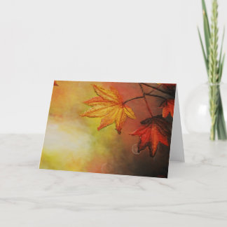 Maple Morn Greeting Cards by Artist Alison Galvan