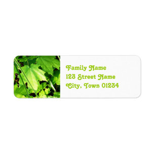 Maple Return Address Label