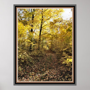 Maple Sugar Bush Path - Fall Eastern Ontario Poster