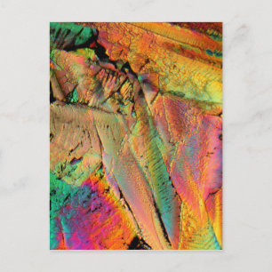 Maple syrup postcard