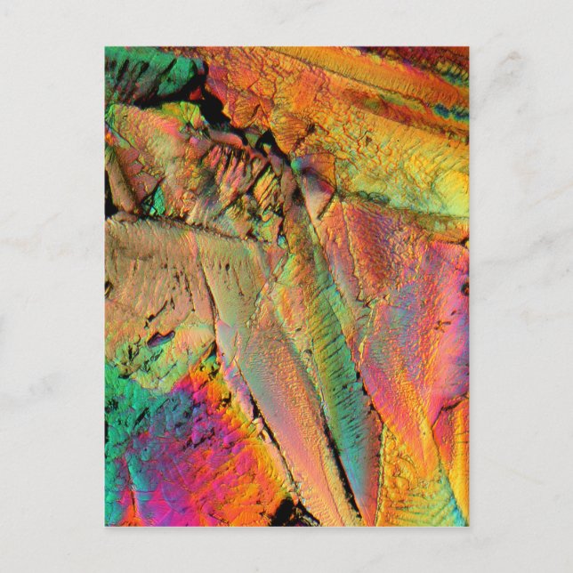 Maple syrup postcard (Front)