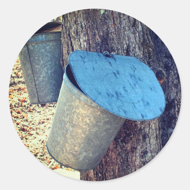 Maple Syrup Sap Buckets Nature Classic Round Sticker (Front)