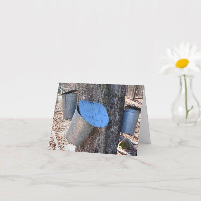 Maple Syrup Sap Buckets Nature Photography Note Card (Small Plant)
