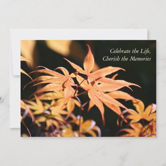 Maple Tree 1 Celebration of Life Memorial service Invitation (Front)