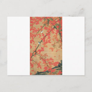 Maple Tree and Small Birds by Ito Jakuchu Postcard