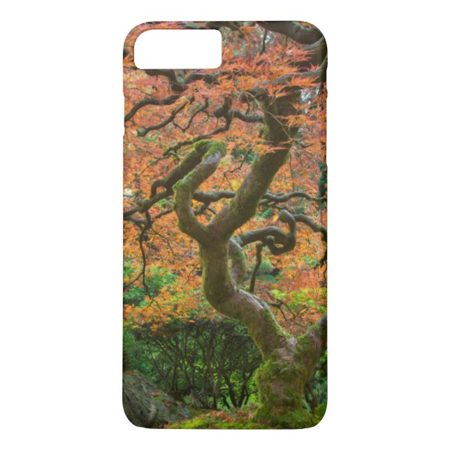 Maple Tree At The Japanese Gardens In Autumn Case-Mate iPhone Case (Back)
