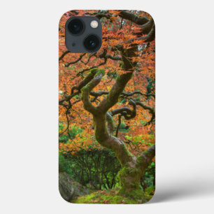 Maple Tree At The Japanese Gardens In Autumn iPhone 13 Case