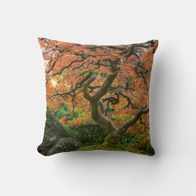Maple Tree At The Japanese Gardens In Autumn Cushion (Front)