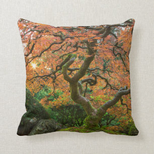 Maple Tree At The Japanese Gardens In Autumn Cushion