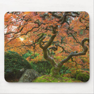 Maple Tree At The Japanese Gardens In Autumn Mouse Pad
