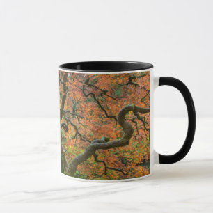 Maple Tree At The Japanese Gardens In Autumn Mug