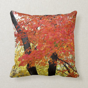 Maple Tree Autumn Cushion