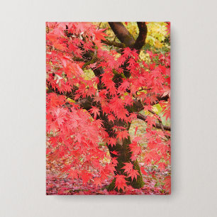 Maple Tree Badge