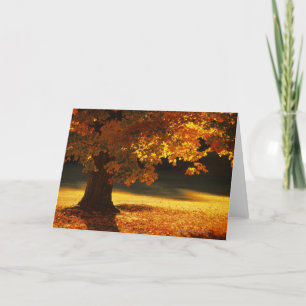 Maple tree , Bennington , Vermont Card