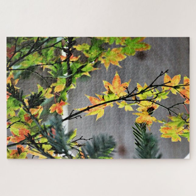  Maple Tree Fall Colours Jigsaw Puzzle (Horizontal)