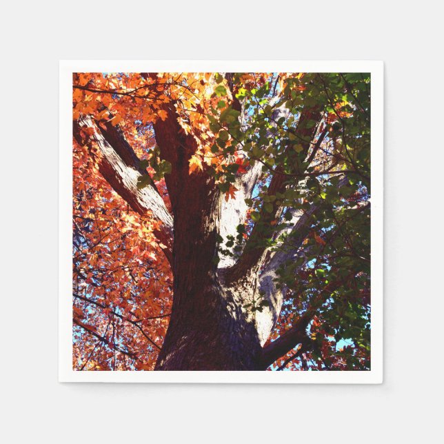 Maple tree forest leaves autumn botanical  napkin (Front)