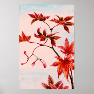 Maple Tree Leaves and Seeds 1870 Poster