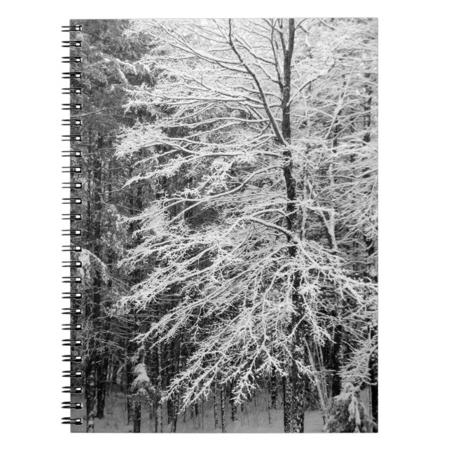 Maple Tree Outlined In Snow Notebook (Front)