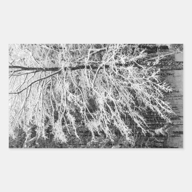 Maple Tree Outlined In Snow Rectangular Sticker (Front)
